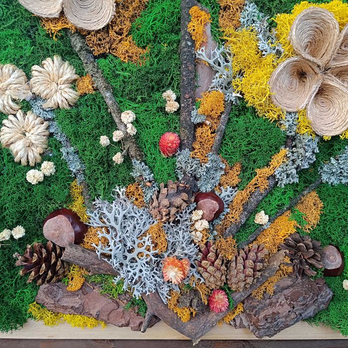 Ръчно изработени картини от скандинавски мъх и естествени материали