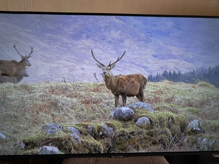 Телевизор samsung 43" 109см смарт 2023 г