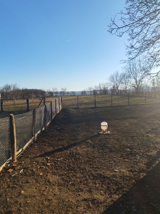 Casa cu teren de vanzare