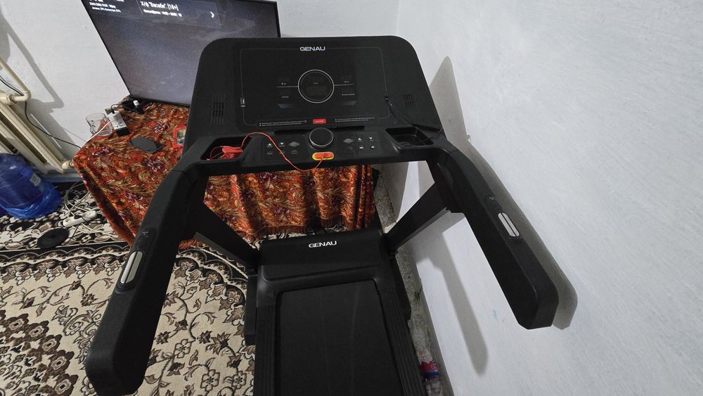 Begavoy darojka 170kg lik