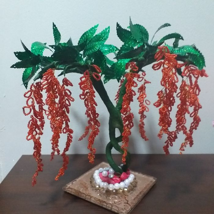 Дерево Глициния продается