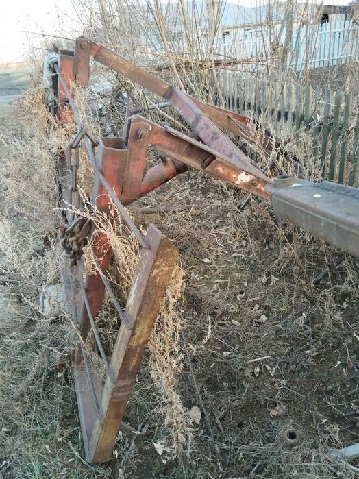 Продажа куна на мтз