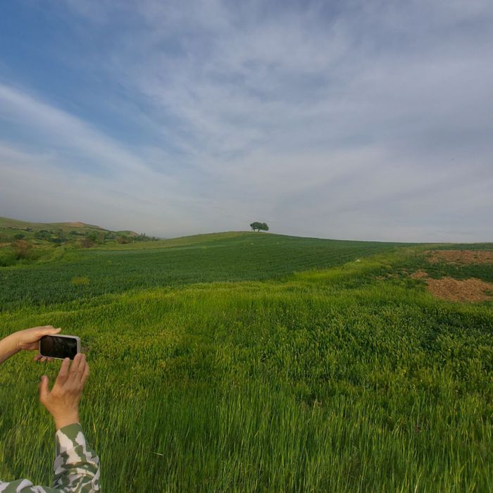 Продаётся земелный участок 1 га (100 соток)