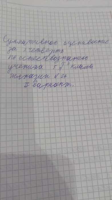 Замшевые туфли 38,39