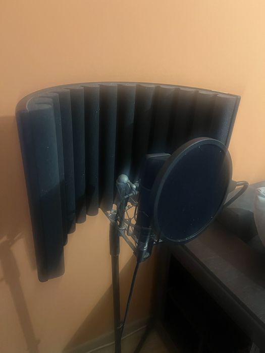 Студиен микрофон Neumann TLM 193