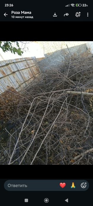 Отын срочно сатылады