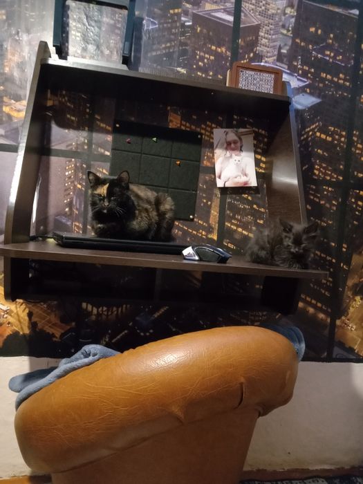 Стол подвесной новый