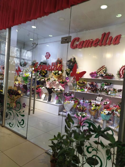 Двери стекла зеркала перегородки