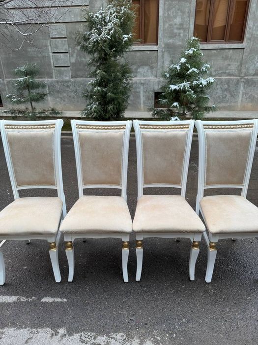 prokat stol stul, 24/7 Аренда стол стул, prakat stol stul Naves 

Ко