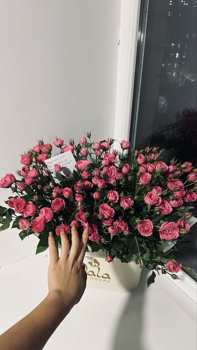 букеты цветы спрей роза
