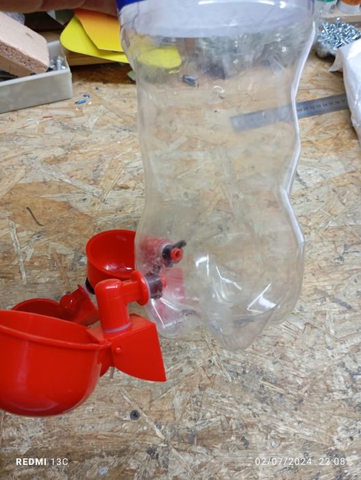 Товук жужалар сув идиши