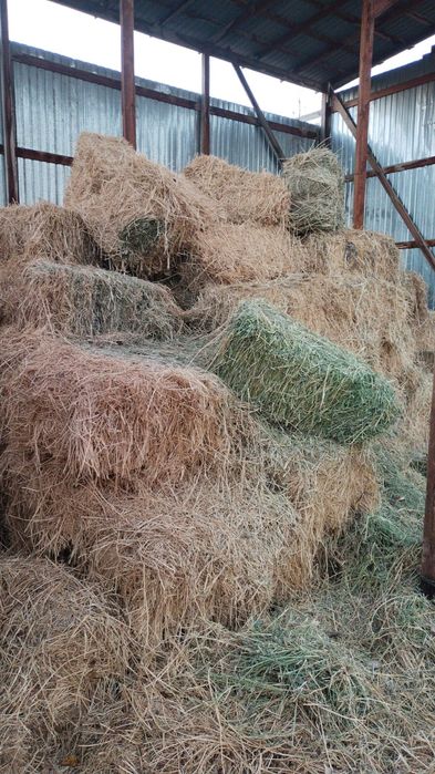 Жоңышқа сатылады