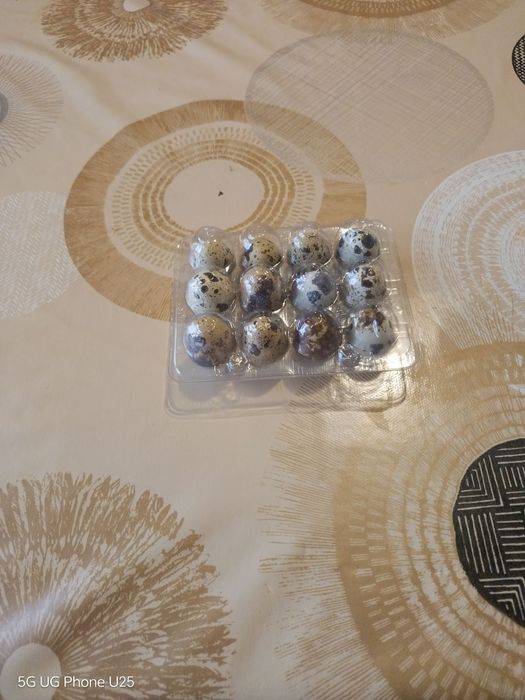 Пъдпъдъчи яйца 12бр