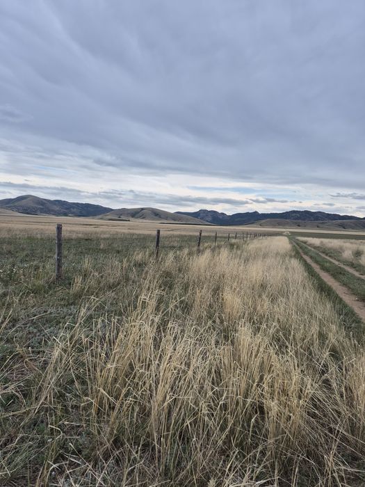 Зимовка. Қыстақ 2000га