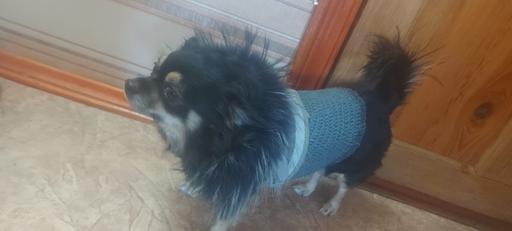 Продам Жилетки для Собак и Кошек