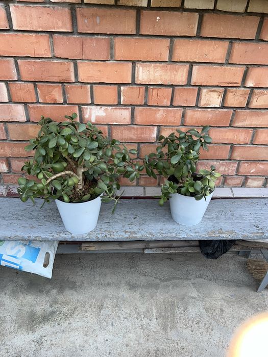 Кимга кере буса мурожат клила