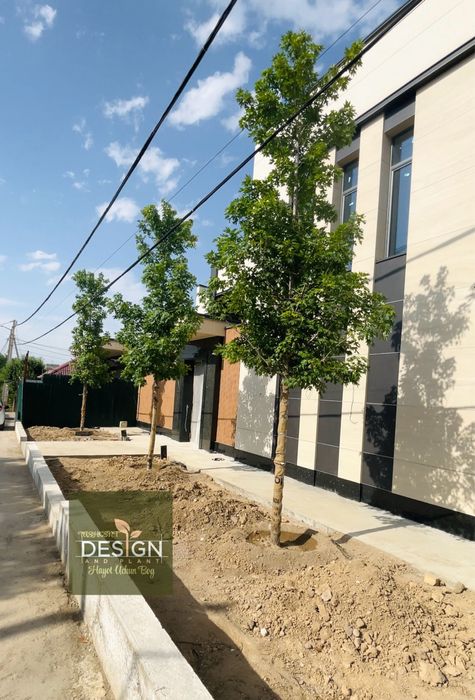 Ландшафт - Озелениение, проект реализации