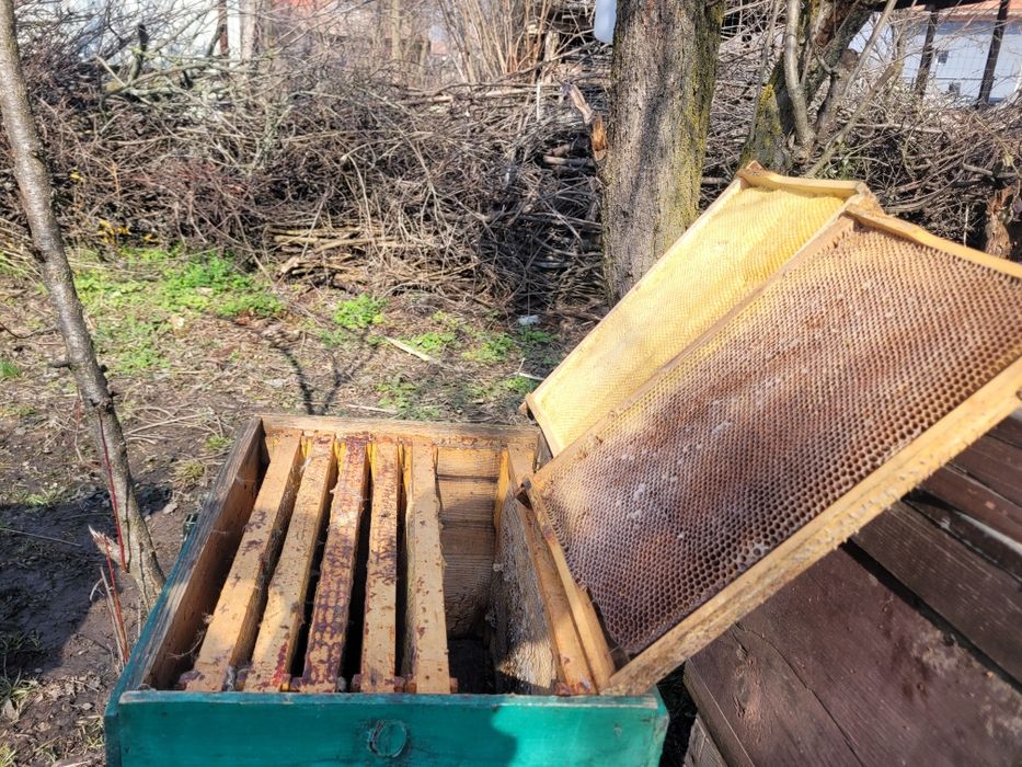 Vand 90 rame  crescute provenite de  la etaj