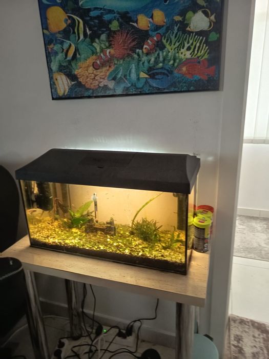 Acvariu capacitate 54 l