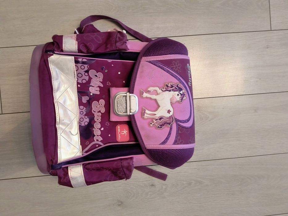 Ученически раници. Две раници за цената