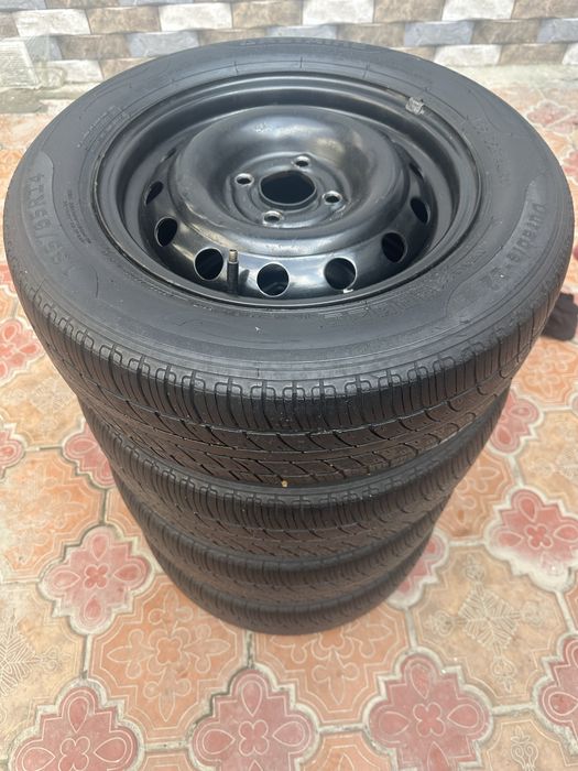 Arginal GM 4 ta Kamplekt 14