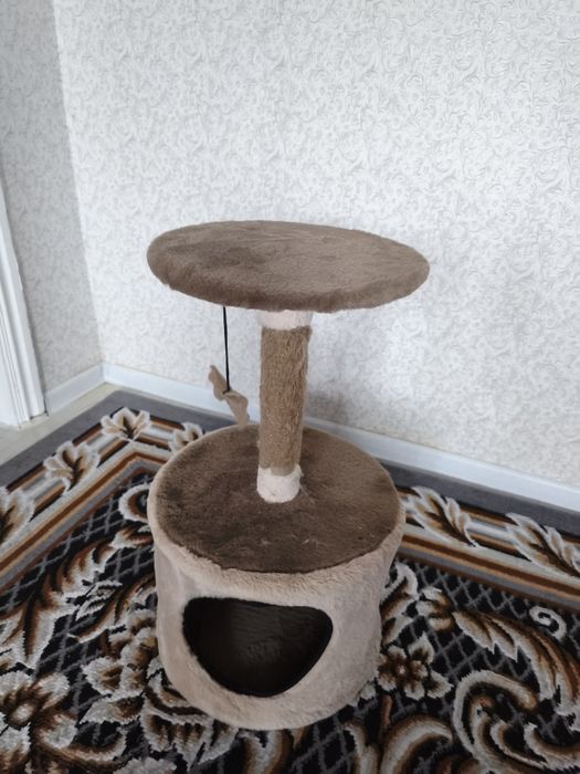 Домик для кошек и котят