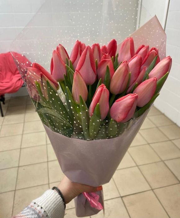 Тюльпаны голландские