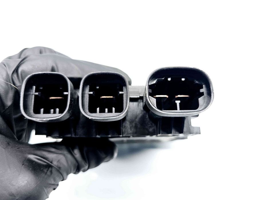 Panou sigurante Renault Scenic 3 [Fabr 2009-2015] 243800011R