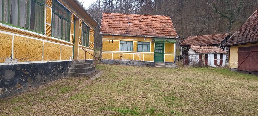 Casă lntre Zam și Săvârșin 6400 mp  intravilan deschidere  94 ml  la DN zonă foarte bună