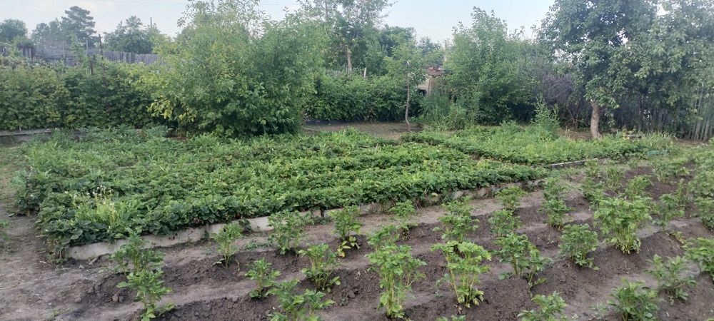 Продам дачу 18 маршрут