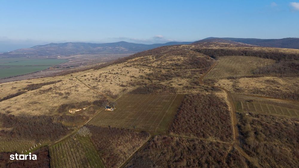 Vita-de-vie Premium  teren de 6800 mp în Covăsinț