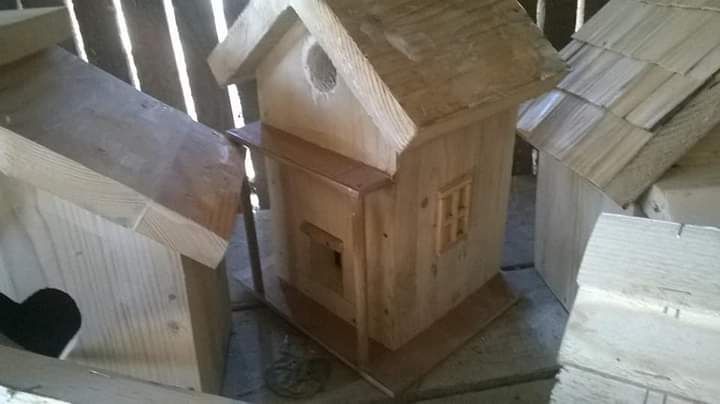 Căsuțe pentru păsări