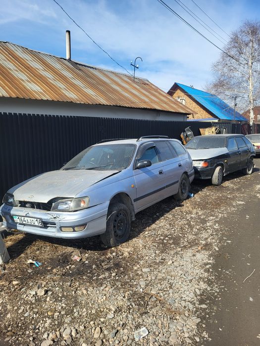 Таиота калдина на разборе