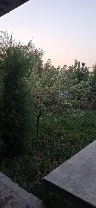 Ховли сотилади!!!