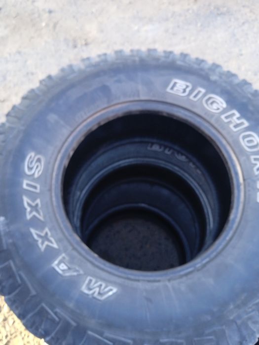 Продам ризину на докат