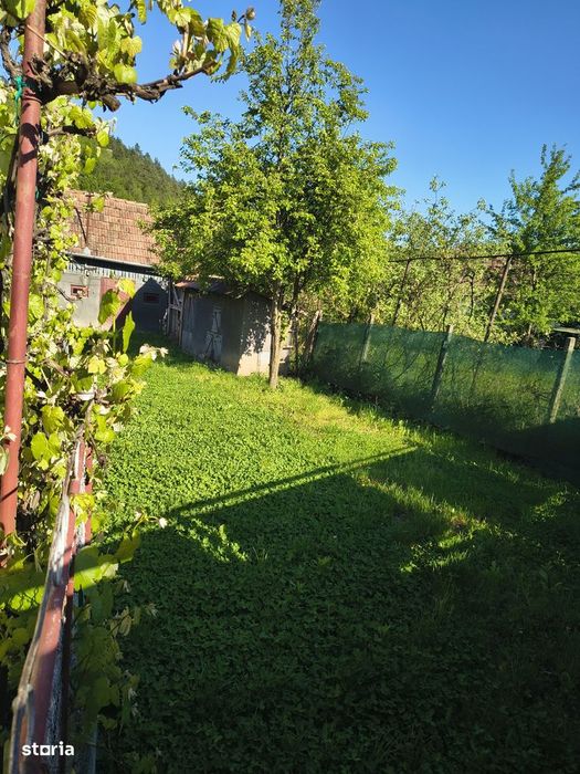 Casă de vânzare. Liniște, natură, confort, la doar ~20 minute de Tg MS