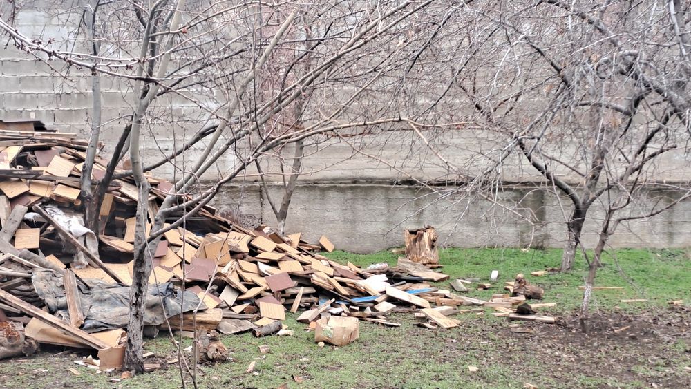 Дрова бесплатно бесплатно