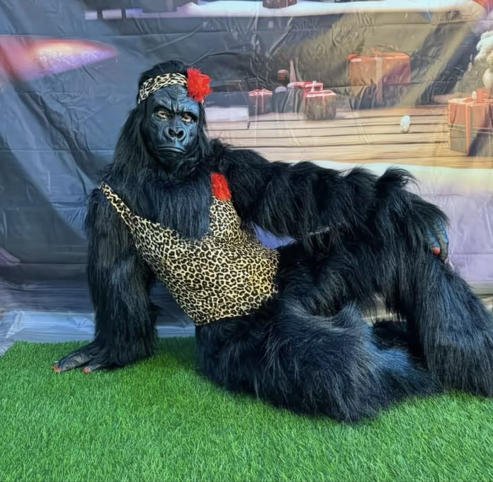 Екі аниматор бірге сатылады!