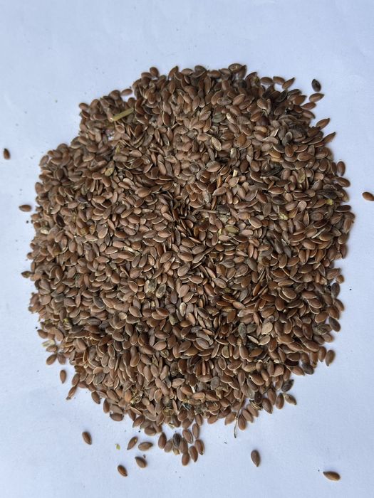 Лён. Семена льна
