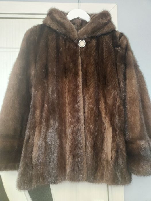 Haina  scurta de vizon