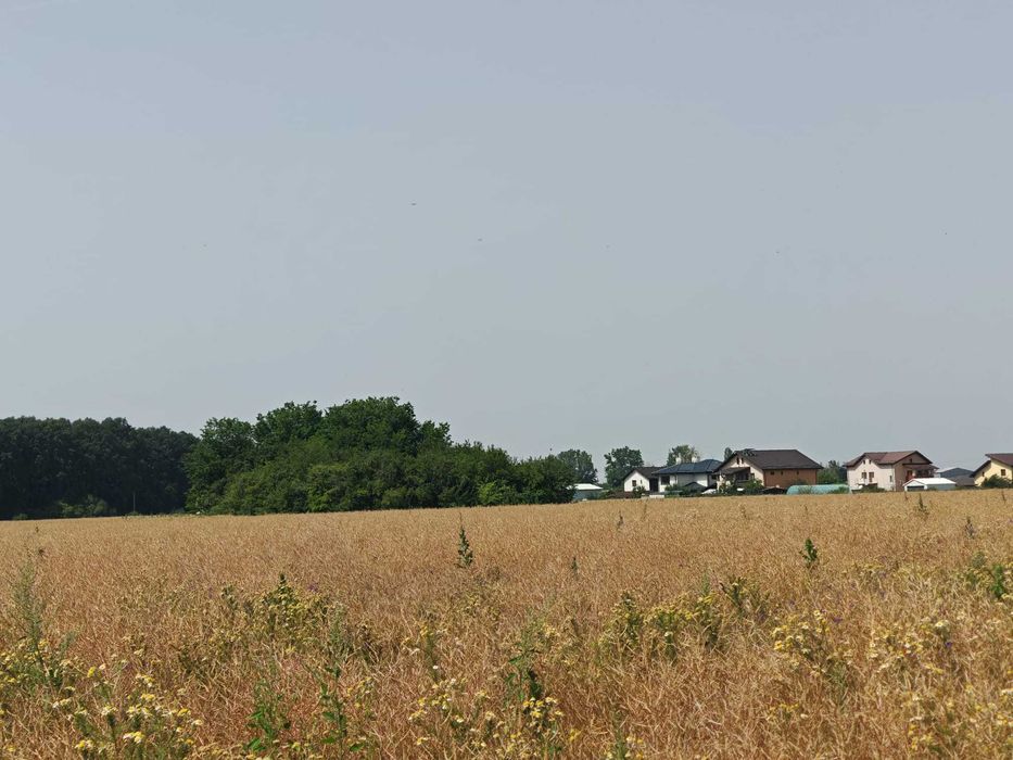 Teren, 8950 mp, langa padure, Intravilan, Magurele, strada Tangentei