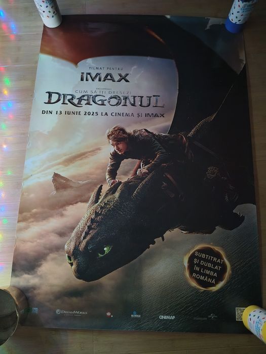Poster Film - Cum sa ți dresezi dragonul