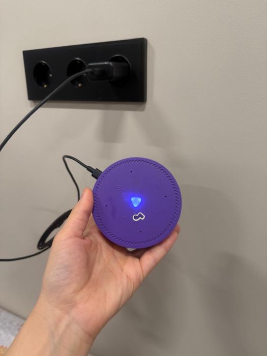 2 шт Алиса умная колонка