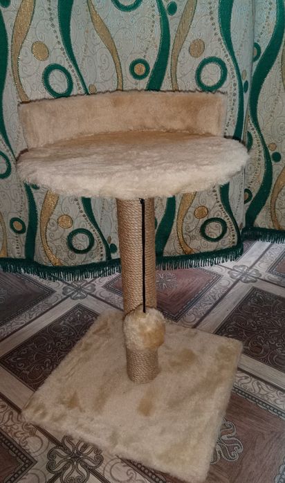 Зоотовары и Животные