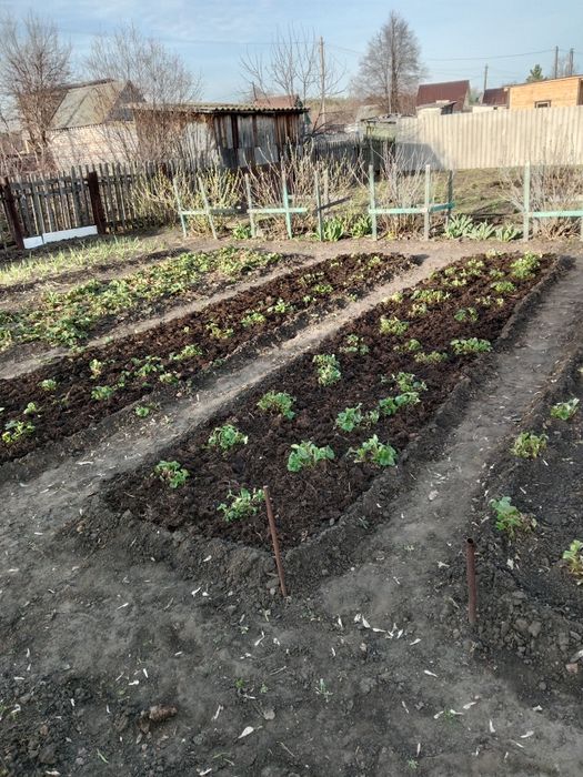 Продам дачу, с/о Эврика