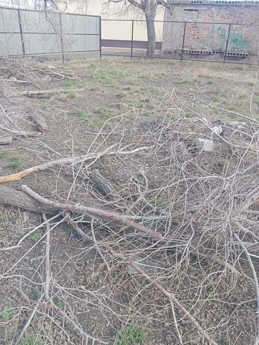 Отдам на дрова бесплатно