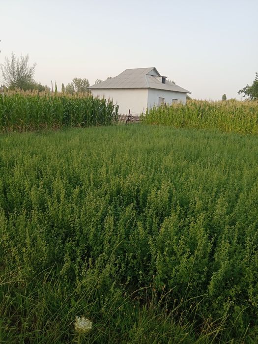 Үй сотилади, новостройка