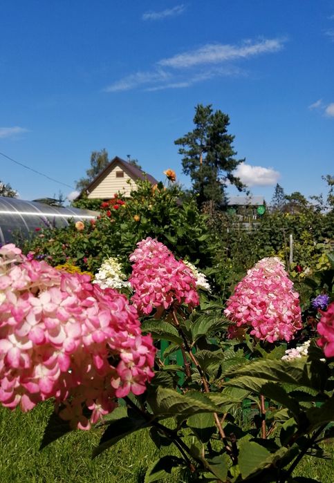 Продам дачу СО. Горизонт