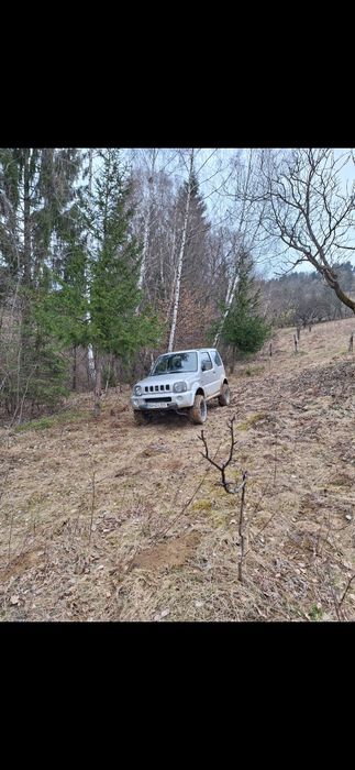 Mesteacan SEVA Mesteacan Stabilizată