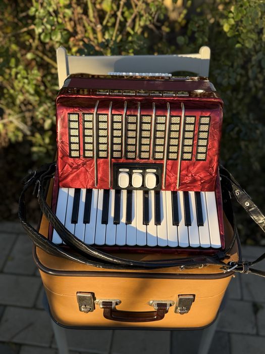 Acordeon Delicia Junior ll 48 bași